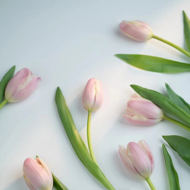 Cake Decorating Vintage Print Ribbons