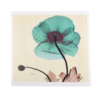 Multifunctional Storage Cabinet Mural Storage Cabinet