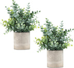 2 Pack Small Fake Plants Eucalyptus Potted Artificial Plants for Shelf Desk Home Bathroom Farmhouse Room Coffee Table Decor (Sage Green) - Grand Goldman