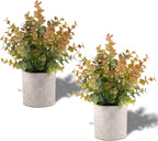 2 Pack Small Fake Plants Eucalyptus Potted Artificial Plants for Shelf Desk Home Bathroom Farmhouse Room Coffee Table Decor (Sage Green) - Grand Goldman