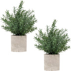 2 Pack Small Fake Plants Eucalyptus Potted Artificial Plants for Shelf Desk Home Bathroom Farmhouse Room Coffee Table Decor (Sage Green) - Grand Goldman