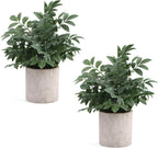 2 Pack Small Fake Plants Eucalyptus Potted Artificial Plants for Shelf Desk Home Bathroom Farmhouse Room Coffee Table Decor (Sage Green) - Grand Goldman