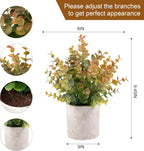 2 Pack Small Fake Plants Eucalyptus Potted Artificial Plants for Shelf Desk Home Bathroom Farmhouse Room Coffee Table Decor (Sage Green) - Grand Goldman