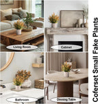 2 Pack Small Fake Plants Eucalyptus Potted Artificial Plants for Shelf Desk Home Bathroom Farmhouse Room Coffee Table Decor (Sage Green) - Grand Goldman