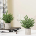 2 Pack Small Fake Plants Eucalyptus Potted Artificial Plants for Shelf Desk Home Bathroom Farmhouse Room Coffee Table Decor (Sage Green) - Grand Goldman