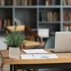 2 Pack Small Fake Plants Eucalyptus Potted Artificial Plants for Shelf Desk Home Bathroom Farmhouse Room Coffee Table Decor (Sage Green) - Grand Goldman