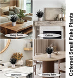 2 Pack Small Fake Plants Eucalyptus Potted Artificial Plants for Shelf Desk Home Bathroom Farmhouse Room Coffee Table Decor (Sage Green) - Grand Goldman