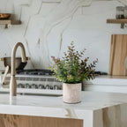 2 Pack Small Fake Plants Eucalyptus Potted Artificial Plants for Shelf Desk Home Bathroom Farmhouse Room Coffee Table Decor (Sage Green) - Grand Goldman