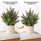 2 Pack Small Fake Plants Eucalyptus Potted Artificial Plants for Shelf Desk Home Bathroom Farmhouse Room Coffee Table Decor (Sage Green) - Grand Goldman