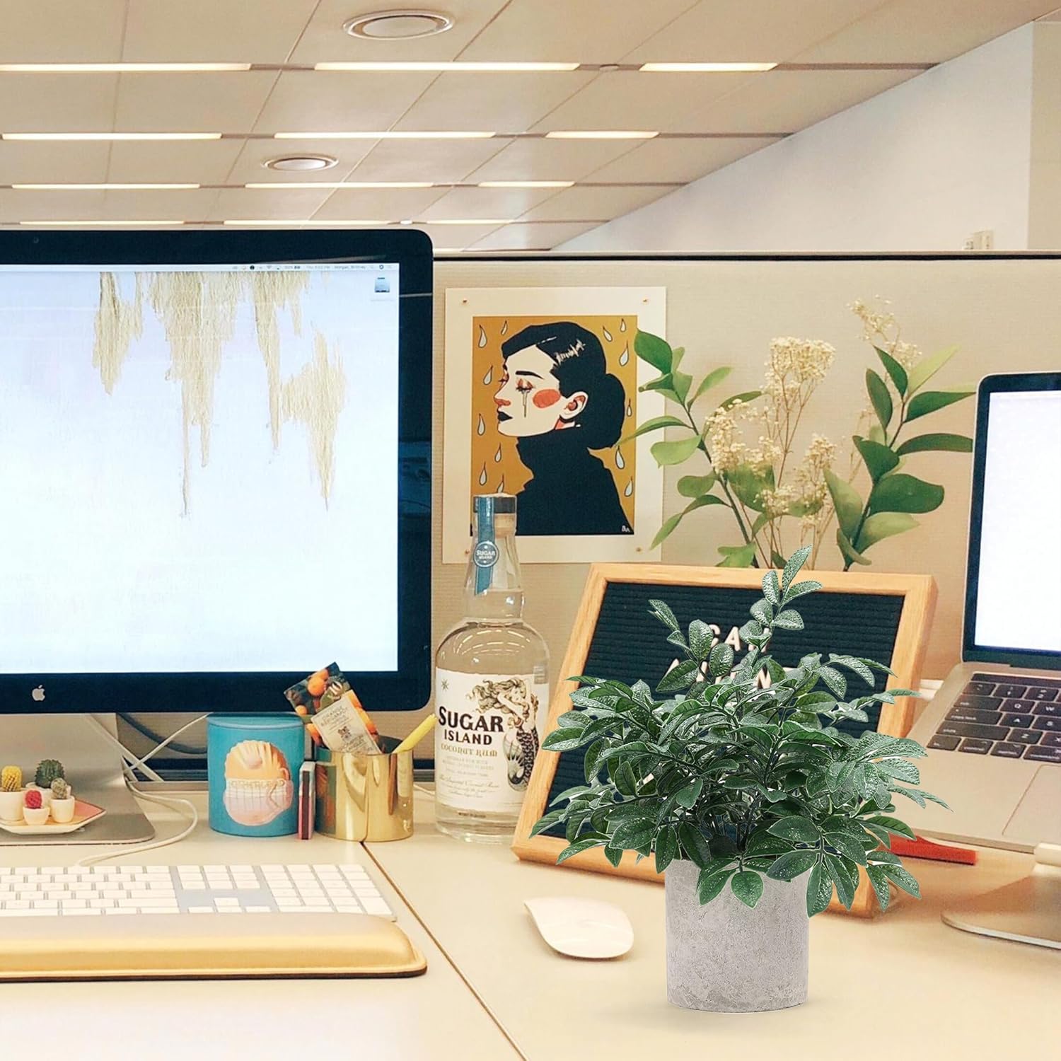 2 Pack Small Fake Plants Eucalyptus Potted Artificial Plants for Shelf Desk Home Bathroom Farmhouse Room Coffee Table Decor (Sage Green) - Grand Goldman