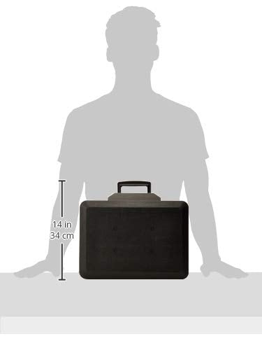 SentrySafe feuerfeste Safe-Box mit Schlüsselschloss, Tresor mit Tragegriff zur Sicherung von Geld, Schmuck, Dokumenten, 0,25 Kubikfuß, 6,3 x 15,3 x 12,1 Zoll, 1160