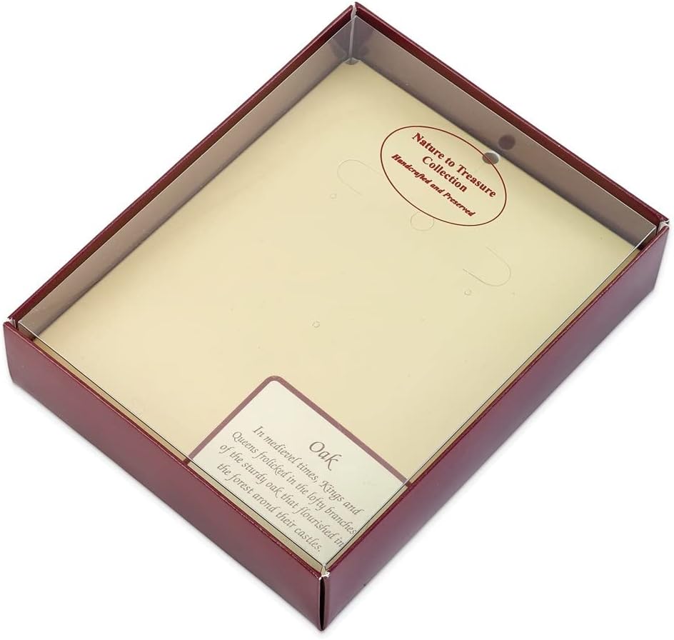 Diamond2Deal Silver and 24k Gold Dipped Double Aspen Leaf Necklace Size 20"