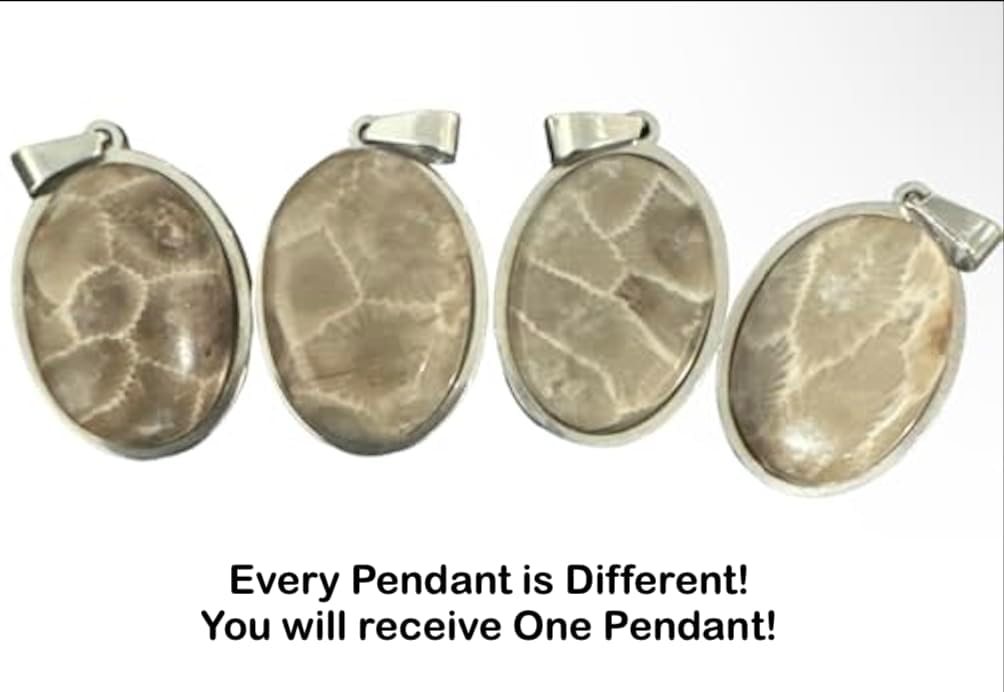 Petoskey Stone Pendants | Northern Michigan Necklaces | Great Lakes |