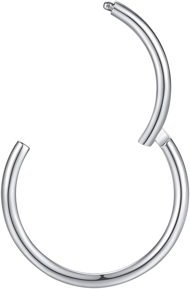 Hypoallergenic Nose Rings 20G 18G 16G 14G 12G 10G 8G 316l Surgical Steel Septum Jewelry Hinged Segment Ring Body Piercing Nose Hoop Lip Rings Nose Helix Cartilage Rook Earrings