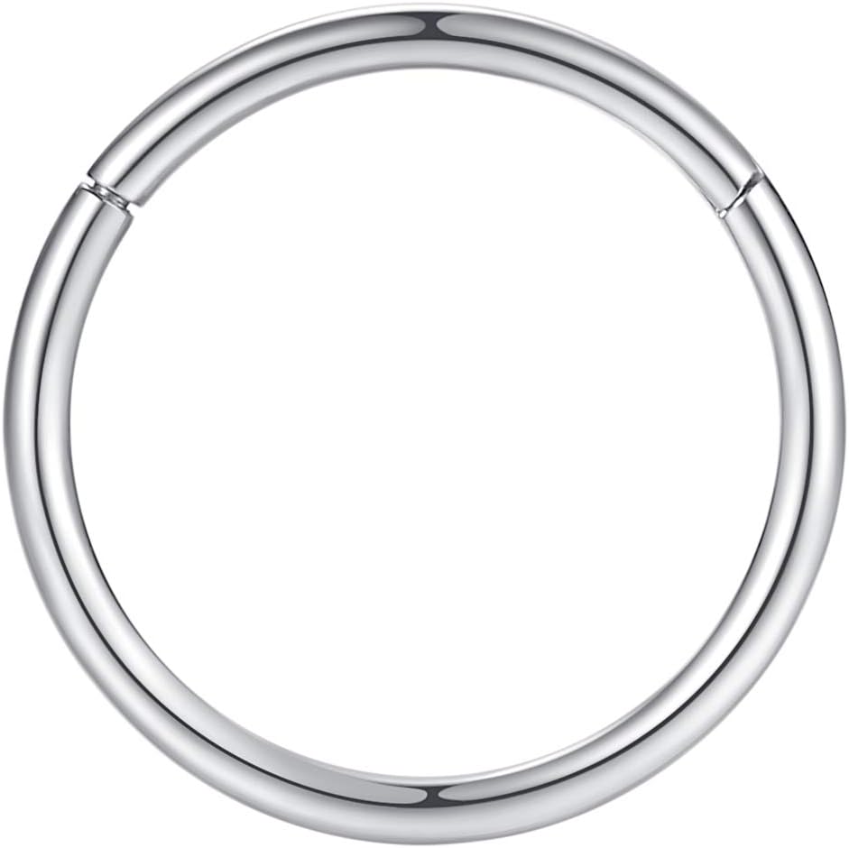 Hypoallergenic Nose Rings 20G 18G 16G 14G 12G 10G 8G 316l Surgical Steel Septum Jewelry Hinged Segment Ring Body Piercing Nose Hoop Lip Rings Nose Helix Cartilage Rook Earrings