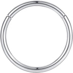 Hypoallergenic Nose Rings 20G 18G 16G 14G 12G 10G 8G 316l Surgical Steel Septum Jewelry Hinged Segment Ring Body Piercing Nose Hoop Lip Rings Nose Helix Cartilage Rook Earrings