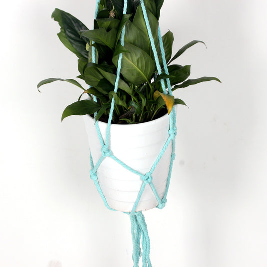 Plant hanging basket tapestry