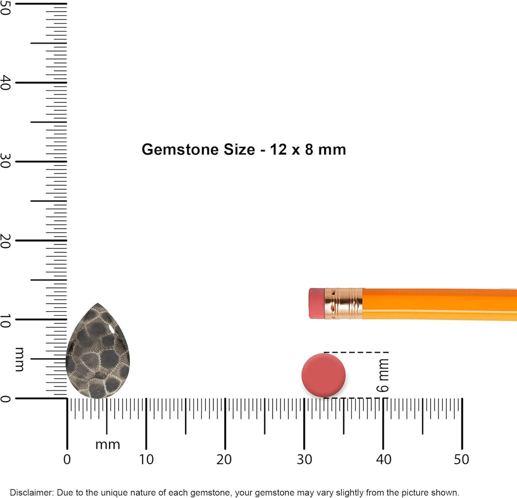 Natural Petoskey Slider Pendant Necklace for Women in Sterling Silver, Gemstone Jewelry Gifts for Her Birthday, Anniversary, Christmas, Graduation