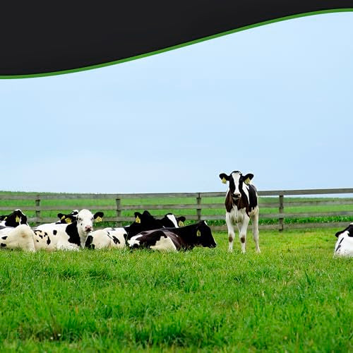 Breyers Ice Cream For a Frozen Dessert On-The-Go Natural Vanilla Snack Cups Made with 100% Grade A Milk & Cream, Sustainably-Farmed Vanilla 3 oz 10 ct