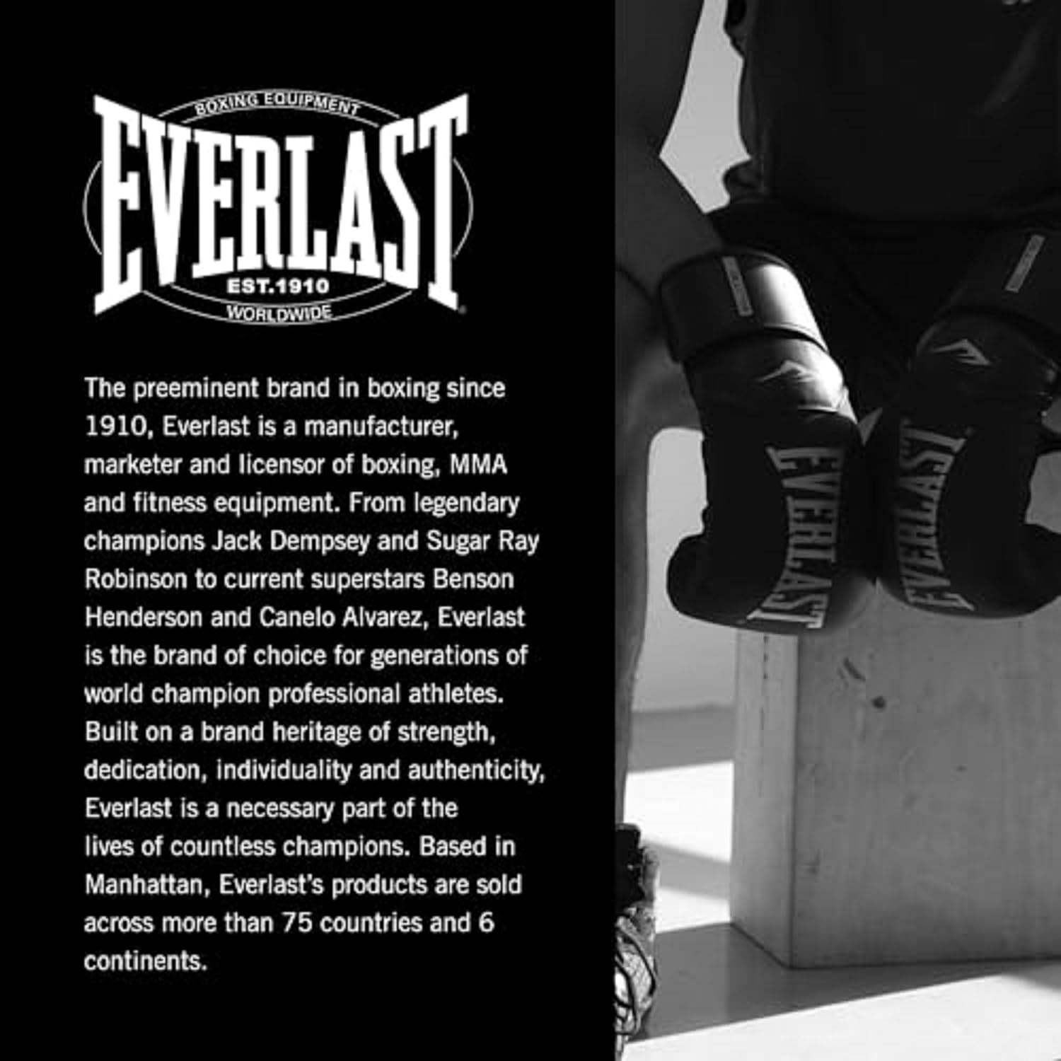 Everlast Elite 2 Boxing Gloves, Pro Training Gloves for Men and Women, Secure Fit Hook and Loop Closure & Ventilation, Heavy Bag & Speedbag Training.