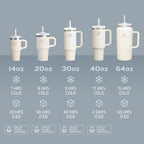 STANLEY Quencher H2.0 Tumbler with Handle and Straw 14 oz | Flowstate 3-Position Lid | Cup Holder Compatible for Travel | Insulated Stainless Steel Cup | BPA-Free | Azure