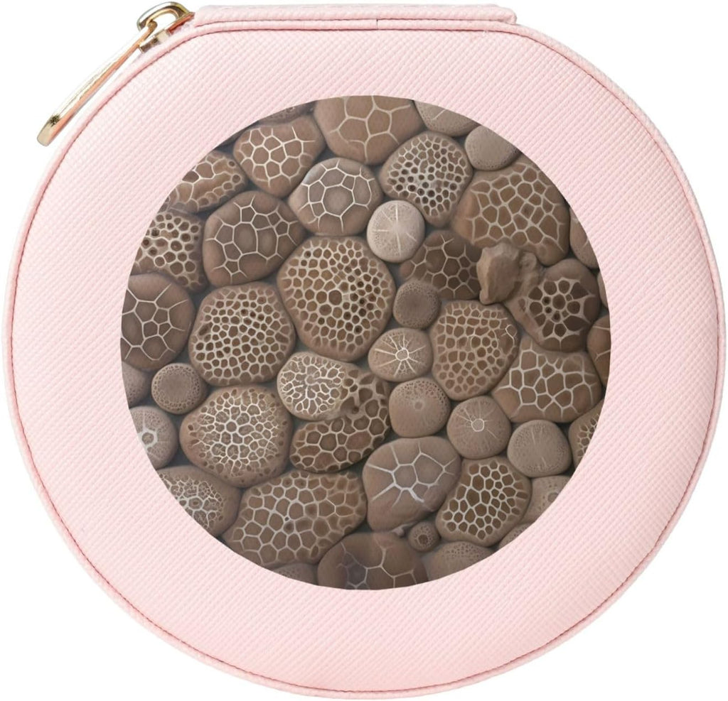 Petoskey Stone Jewelry Case Small Jewelry Box Gift for Women Leather Travel Jewelry Organizer Round Storage Purse with Zipper Display Storage Box for Rings Earrings Necklaces