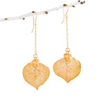 Real Aspen Leaf Earrings in Gold, Rose Gold, or Silver, Custom Jewelry for Her