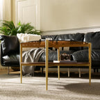 Saint Mossi Glass Round Coffee Table for Living Room, Middle-Century Modern Style, Coffee Brown Glass Top & Walnut Brown MDF Wood Top, with Gold Finish Legs & Frame