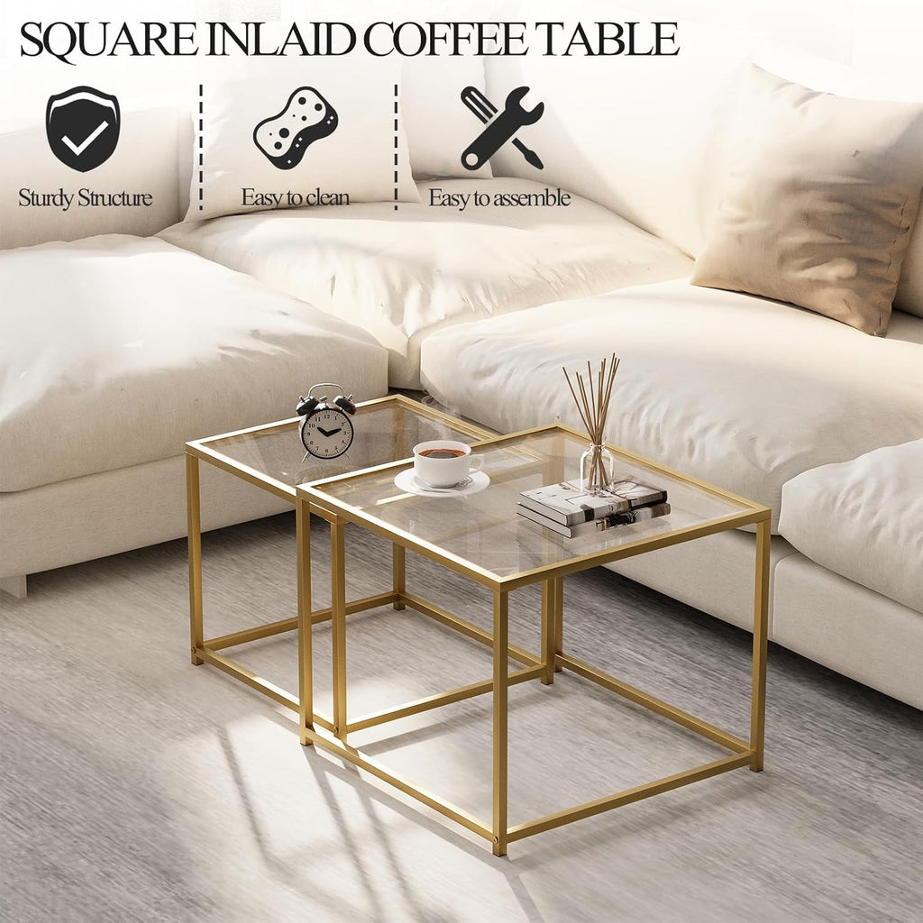 Glass Coffee Table Modern Center Living Room Table,Minimalist Nesting Table Set of 2 for Living Room,Tempered Glass-top with Sturdy Metal Frame, Easy Assembly,Gold