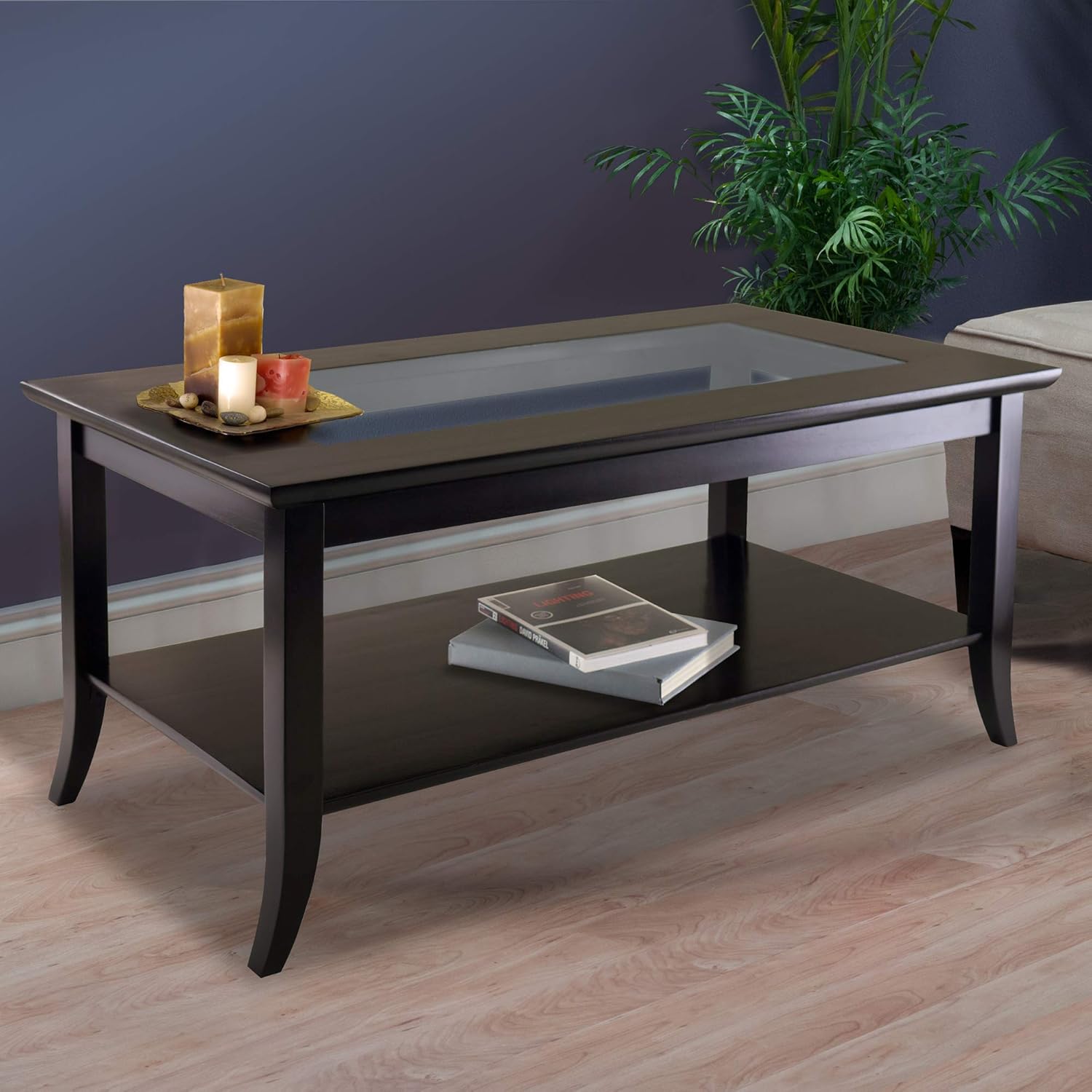 Winsome Genoa Rectangular Coffee Table with Glass Top And Shelf, Espresso