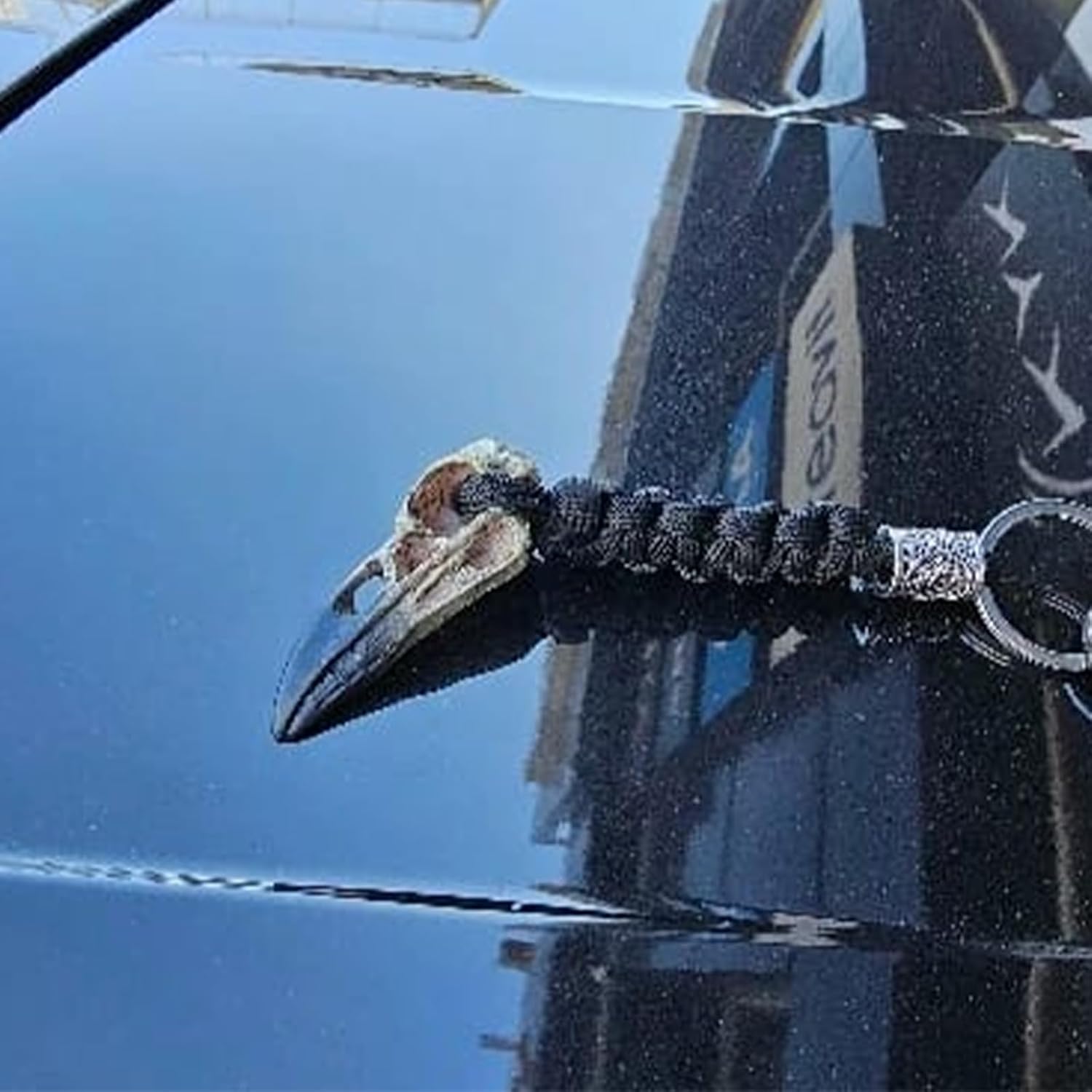 Vikings Eagle's Head-Odin Crow Skeleton Keychain,Eagle Head Pendant Keyring Rope Jewelry Gift for Men Women