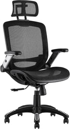GABRYLLY Ergonomic Office Chair, High Back Home Desk Chair with Headrest, Flip-Up Arms, 90-120° Tilt Lock and Wide Cushion, Big and Tall Mesh Chairs for Man Woman, Black Task Chair