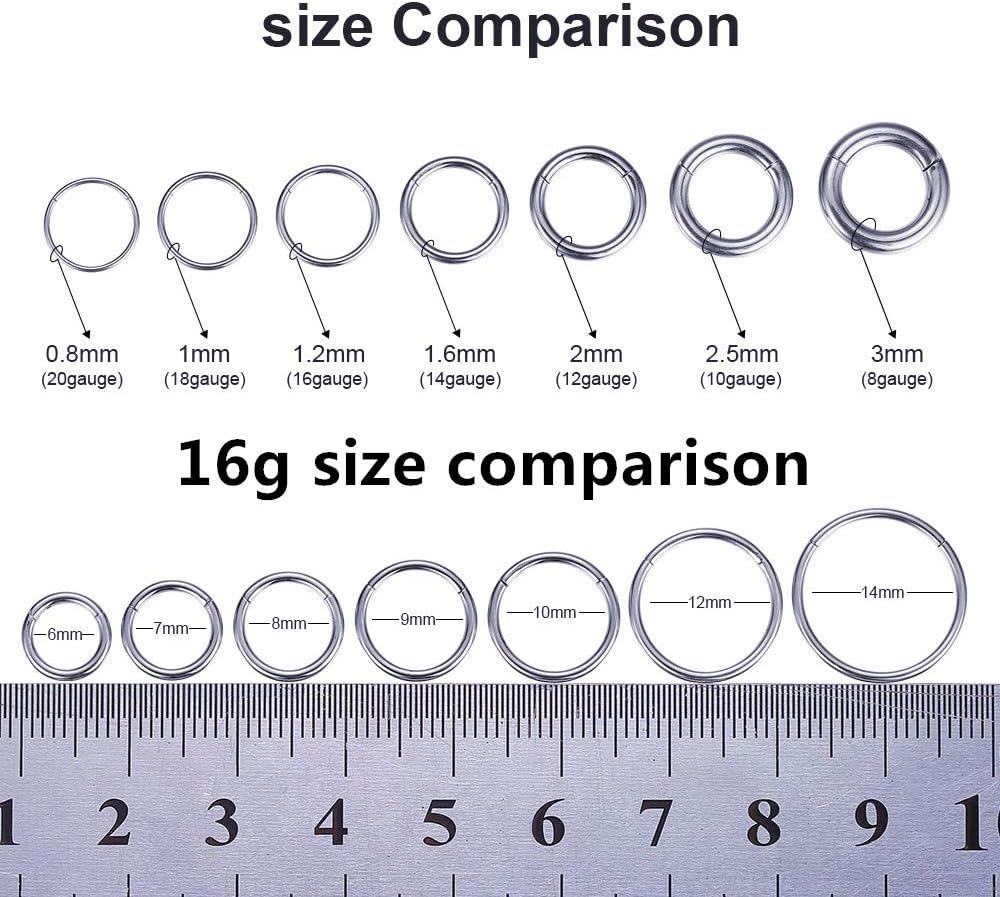 Hypoallergenic Nose Rings 20G 18G 16G 14G 12G 10G 8G 316l Surgical Steel Septum Jewelry Hinged Segment Ring Body Piercing Nose Hoop Lip Rings Nose Helix Cartilage Rook Earrings