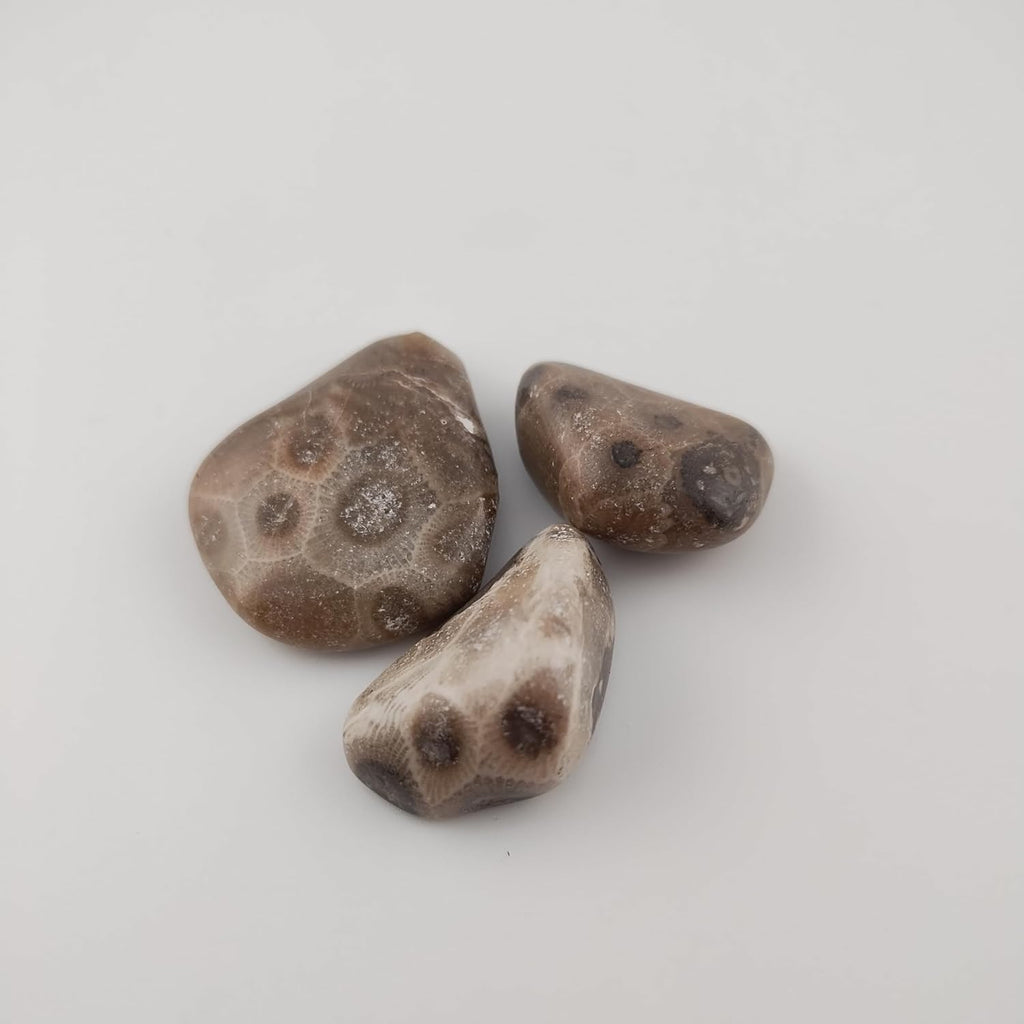 Petoskey Handcrafted Michigan Stone Pendant Necklace