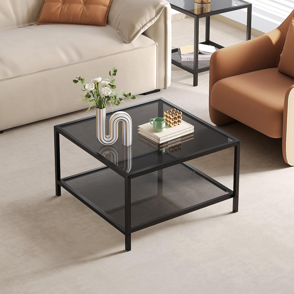 SAYGOER Modern Coffee Table Small Glass Coffee Table with Storage 2-Tier Simple Square Center Table for Living Room Home Office Sofa Table with Metal Frame 26.7 x 26.7 x 17.7 Inches, Gray Black