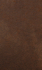 American Furniture Classics Model 8505-40 Wild Horses Sleeper Sofa Sofabed, Queen, Brown