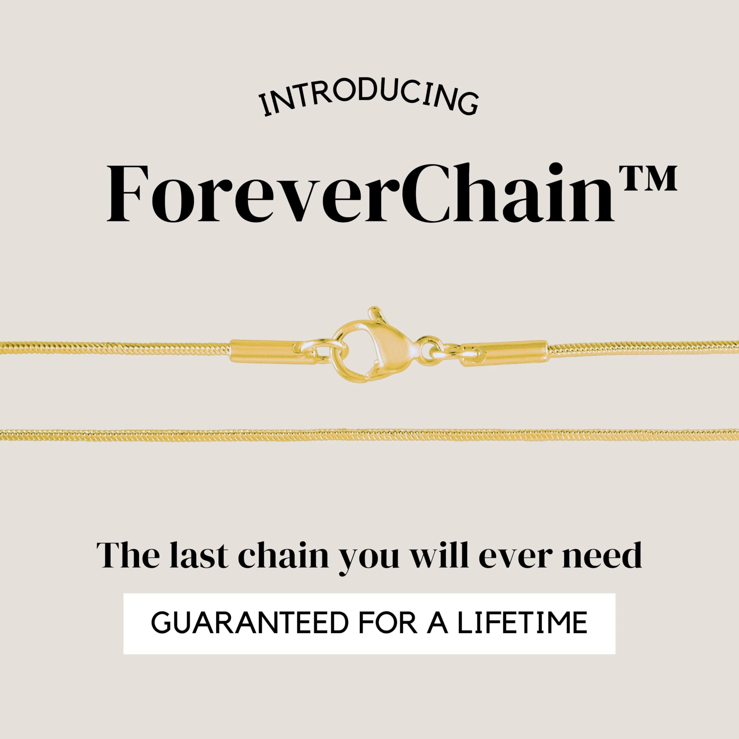 Colar Corrente Cobra KISPER de Ouro 24k – Fino, Delicado, Joia de Aço Inoxidável Banhada a Ouro para Mulheres e Homens com Fecho Lagosta, 20”