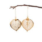 Real Aspen Leaf Earrings in Gold, Rose Gold, or Silver, Custom Jewelry for Her