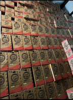 Confortotal 12000 BTU Mini Split Air Conditioner and Heat Pump 110V Ductless,1 ton, Covers Up to 750 sq ft with WIFI works with Alexa and Google