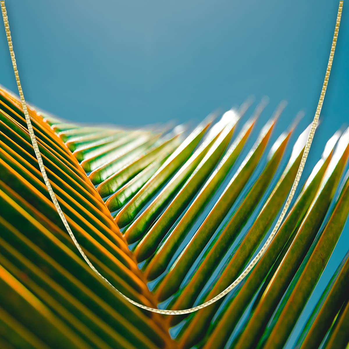 Colar de Corrente Caixa 0,7mm com Fecho Lagosta da Honolulu Jewelry Company em Ouro Amarelo Maciço Real 14K (20 Polegadas)