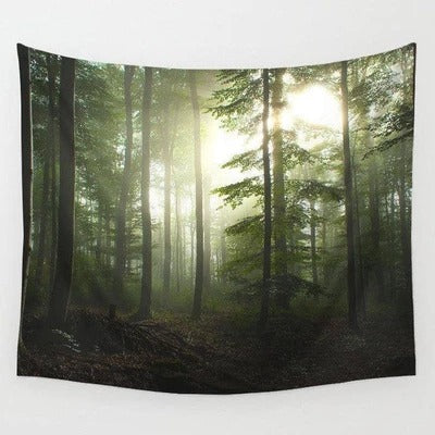 The Dawn Wall Tapestry