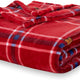 Peanuts Picnic Plaid Red