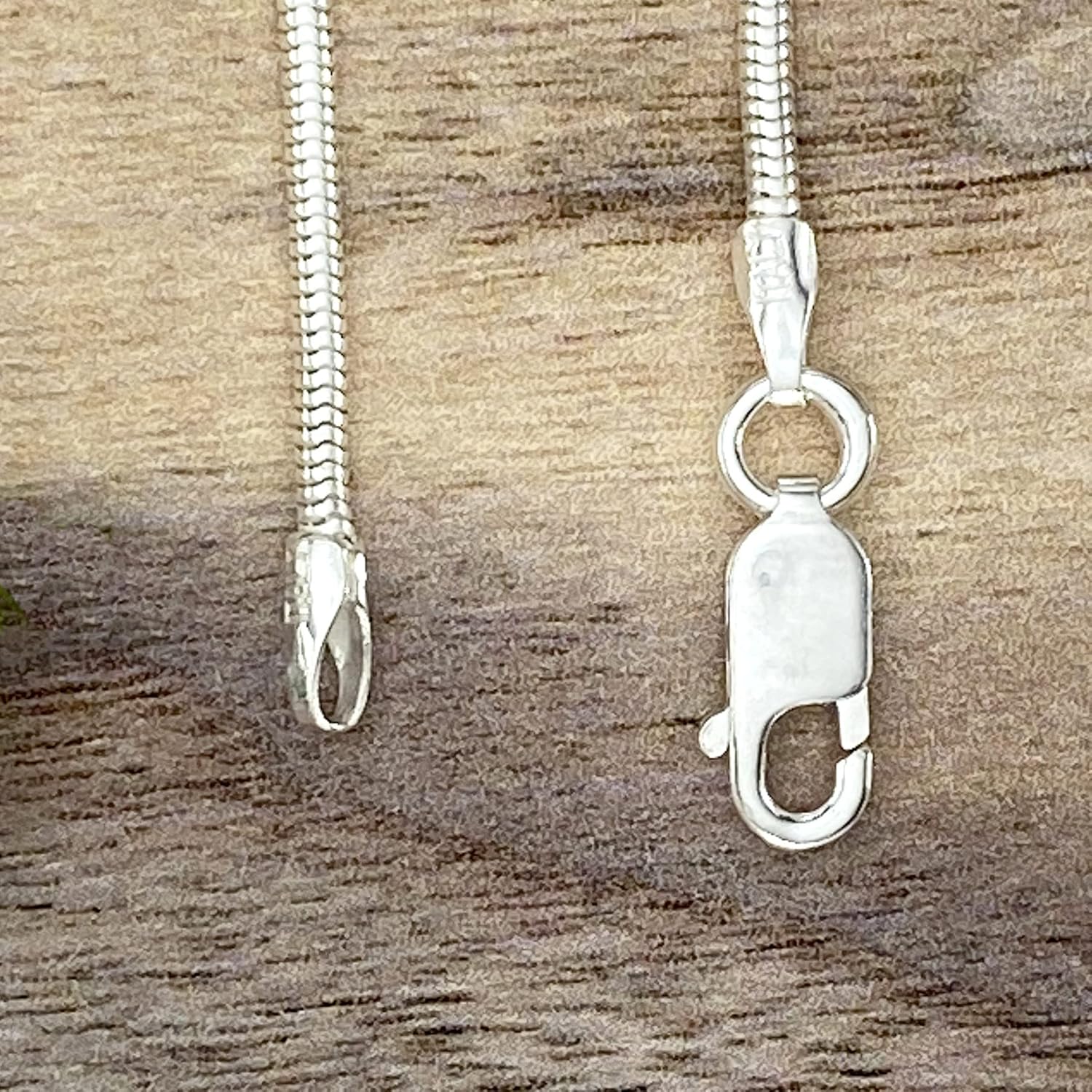 Petoskey Stone Pendant