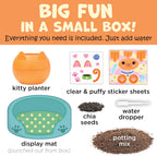 Creativity for Kids Plant-A-Pet: Kitty - Arts and Crafts for Kids, Mini Gifts for Girls and Easter Basket Stuffers for Kids, Chia Seed Plant Pet (Ages 6+)