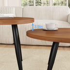 Coffee Table Set of 2, Accent Nesting Side Table, Sofa End Table for Farmhouse and Living Room (Brown)