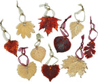 Aspen Leaf Ornaments, Set of 2 - One Copper Dipped, One Gold Dipped, Real Leaves, 2.5 Inch Length, Adjustable Ribbon Ties