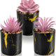 Black Pots-3 Pink