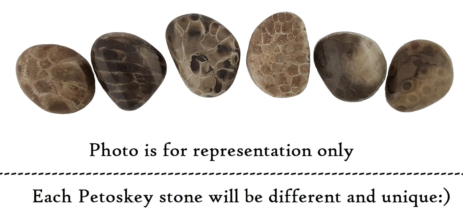 Petoskey Stone (Polished) Rock Hexagonaria | Beautiful Fossil with Nice Gift Bag