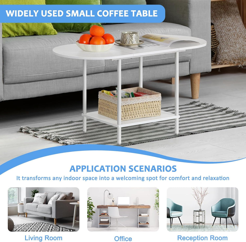Small Oval Coffee Tables Modern Low Coffee Table for Small Space Mid Century Center Side Table with Open Shelving for Storage, Display, and Furniture Living Room & Home Office