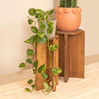 Creative Co-Op Paulownia Wood Round Accent Table, Brown